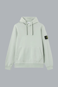 ORGANIC COTTON FLEECE HOODIE SWEATER SAGE