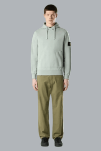 Hoodie van biologisch katoen fleece in de kleur saliegroen.