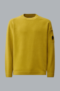 COTTON CHENILLE CREWNECK LENS SWEATER GREEN
