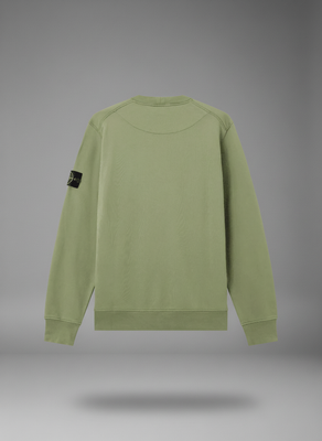 ORGANIC COTTON FLEECE SWEATSHIRT SAGE