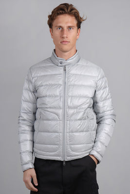 Acorus Light Grey