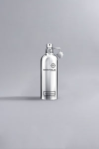 Vanille Absolu Silver perfume bottle by Montale Paris in sleek reflective silver design, showcasing luxury fragrance packaging on a light gray background.