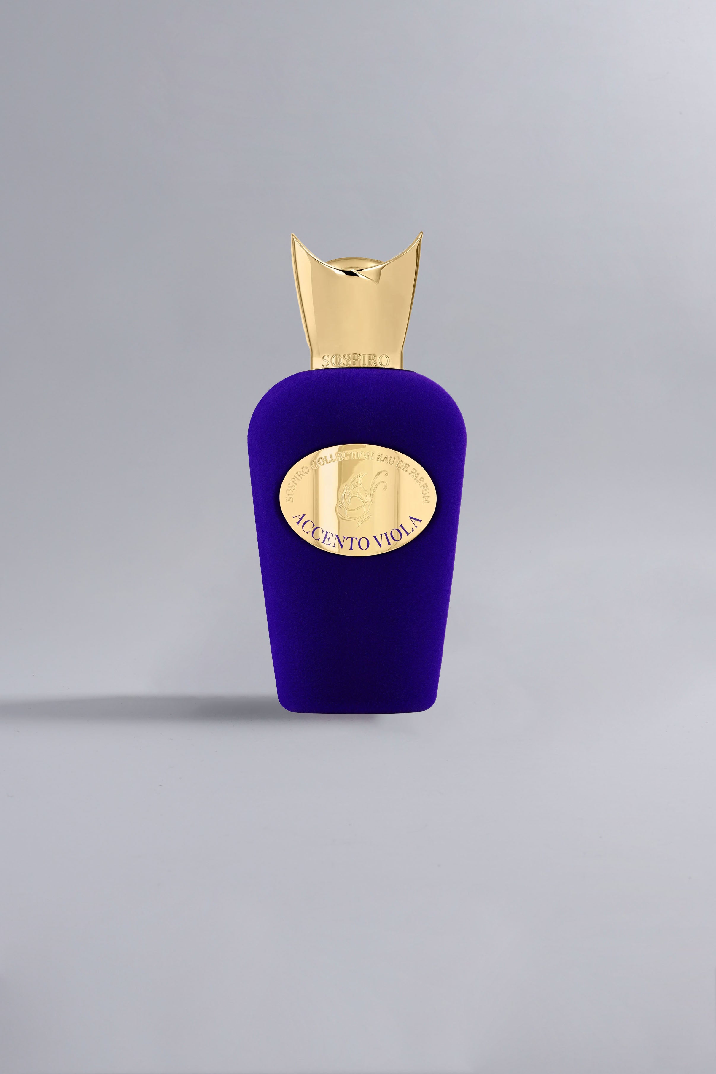 Accento Viola