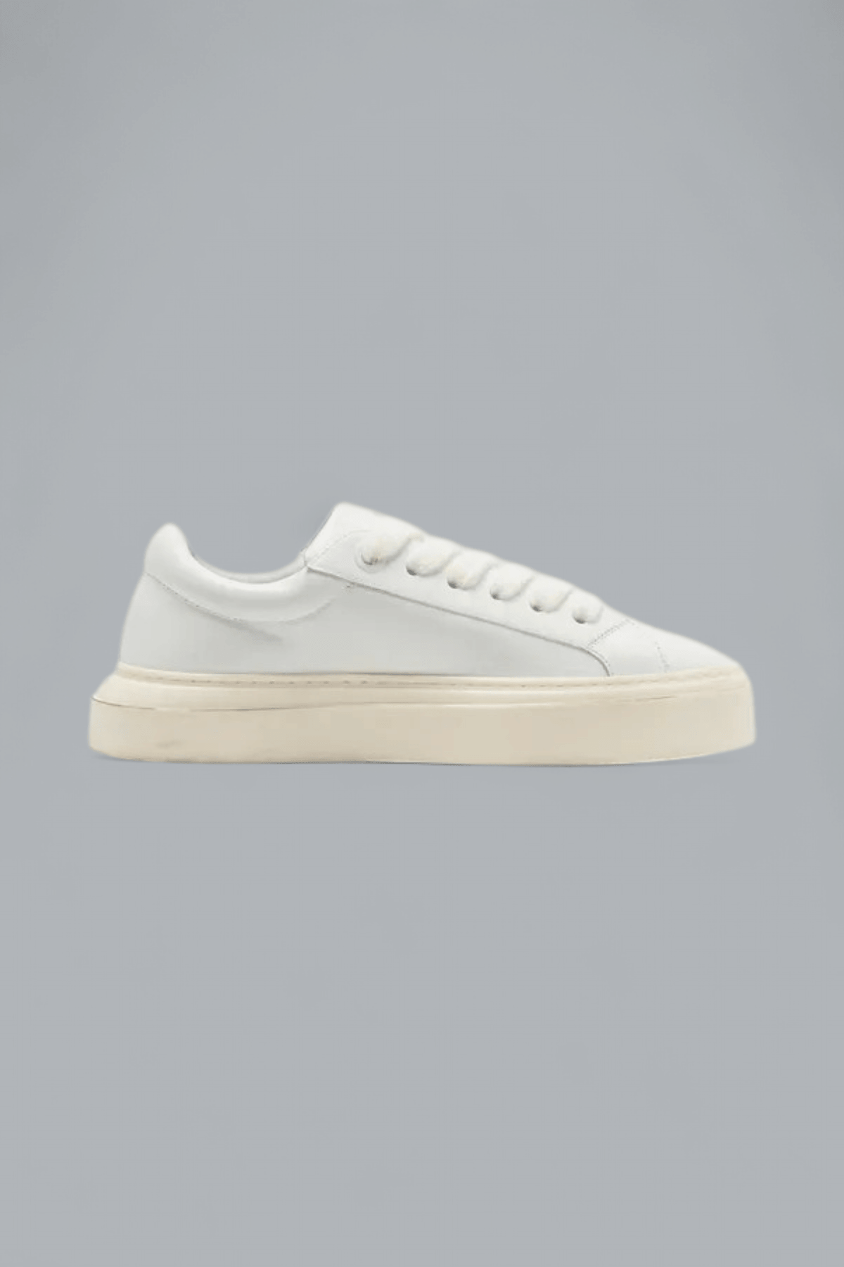 THE WILSON SNEAKERS
