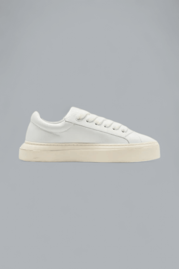 THE WILSON SNEAKERS