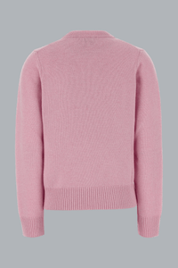 CRAB GRAPHIC WOOL CREWNECK