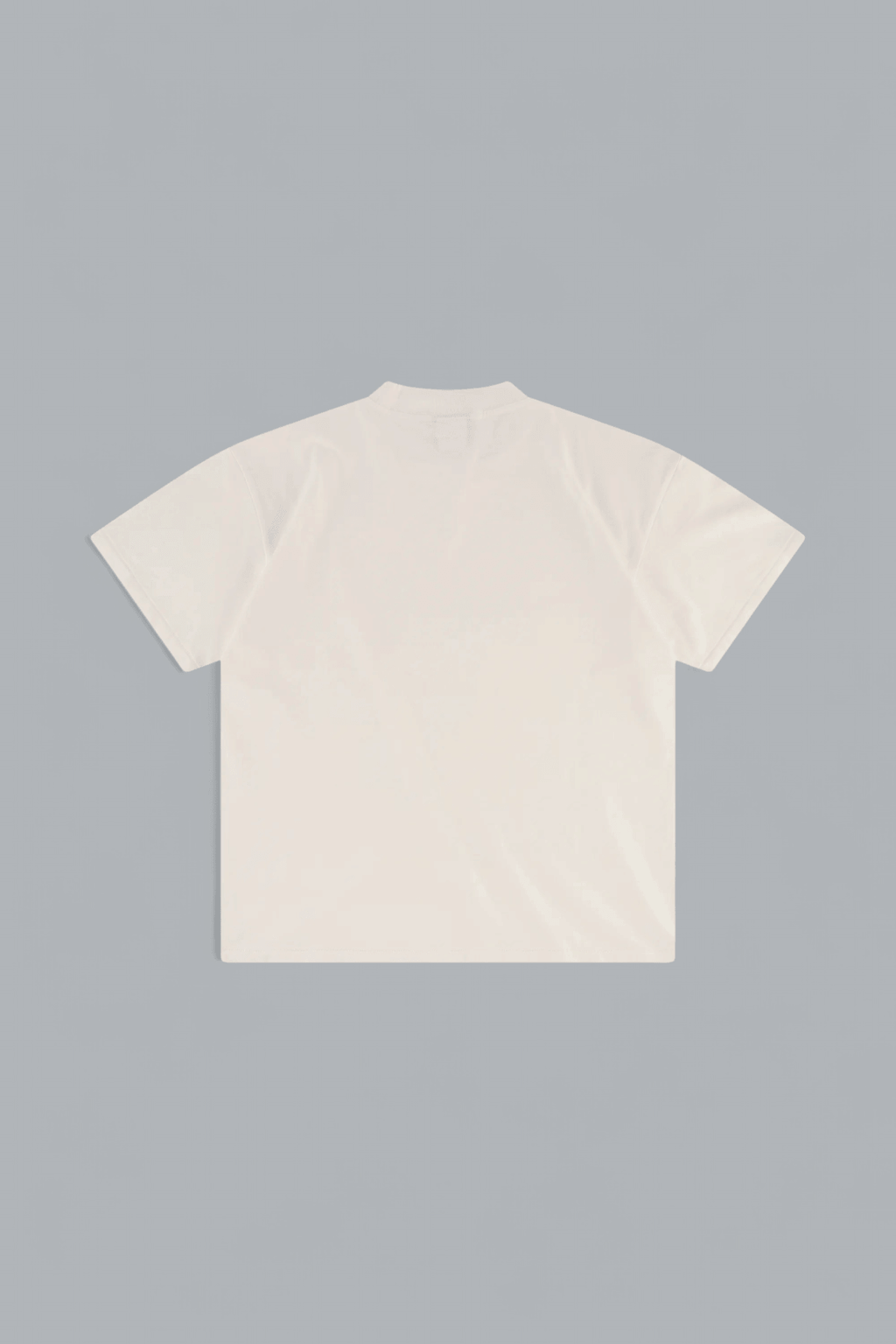 THE PERFECT VINTAGE T-SHIRT