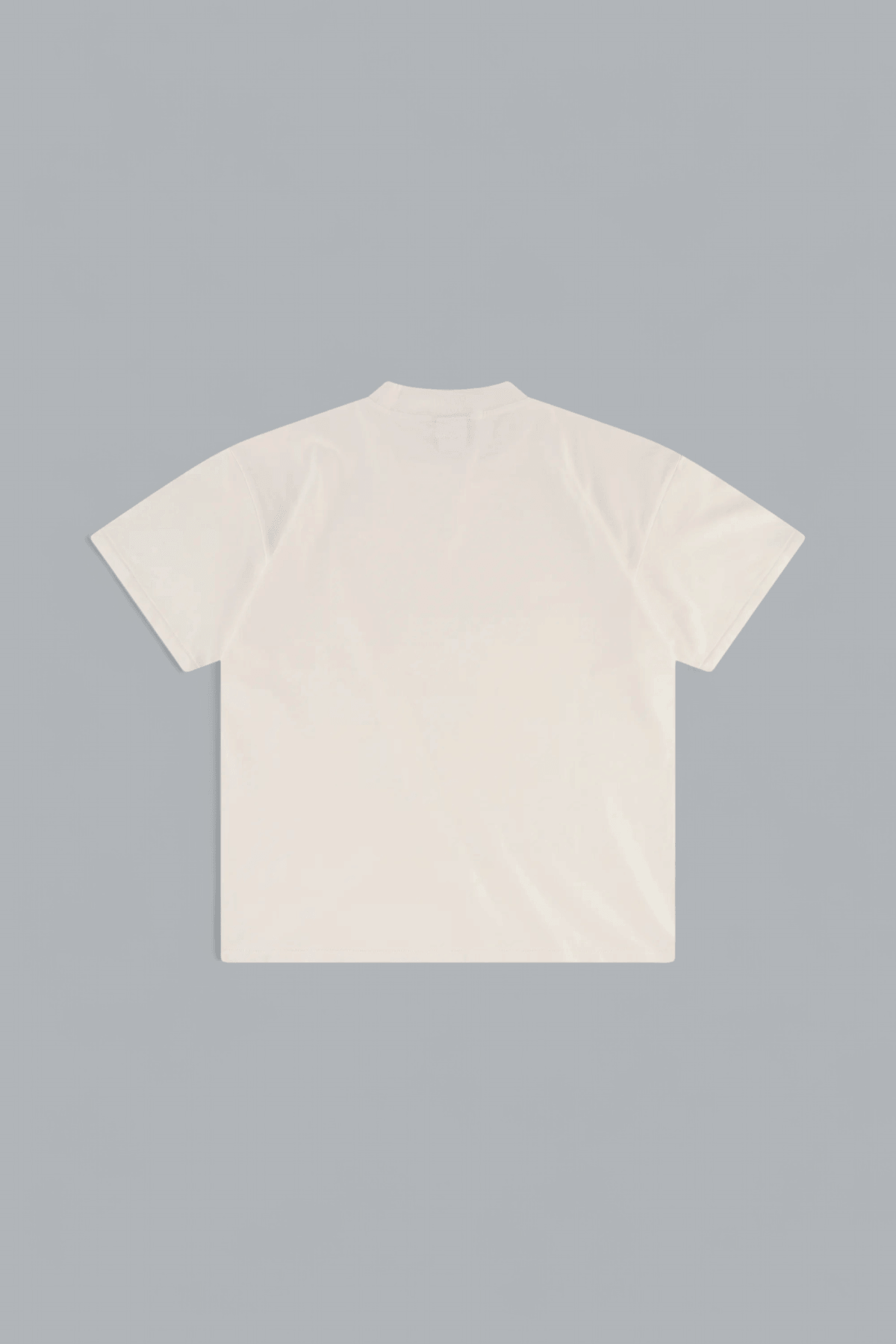 THE PERFECT VINTAGE T-SHIRT