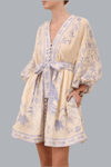 INDRA PLUNGE MINI DRESS
