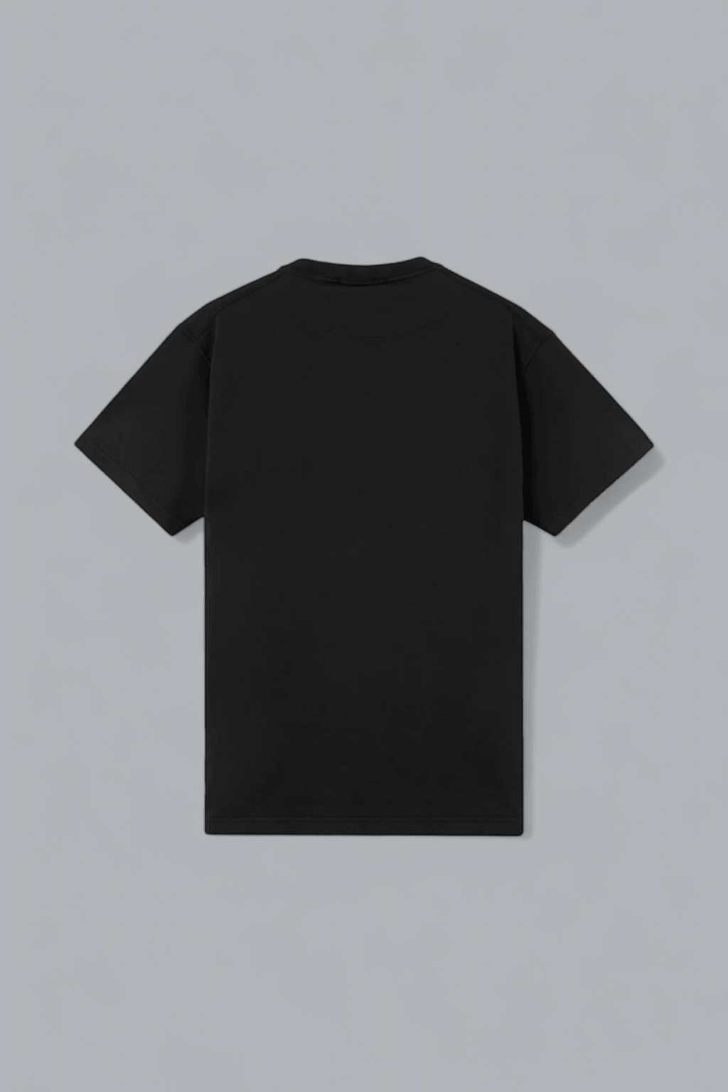 ORGANIC COTTON JERSEY 'FISSATO' EFFECT T-SHIRT