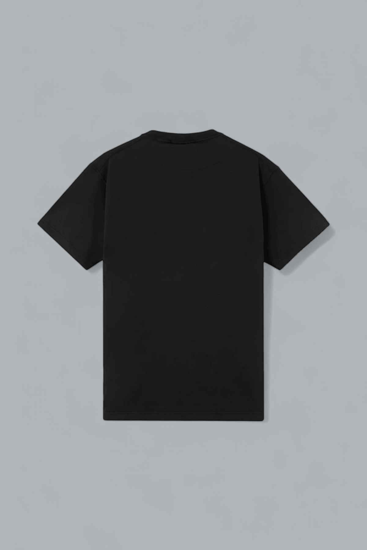 ORGANIC COTTON JERSEY 'FISSATO' EFFECT T-SHIRT