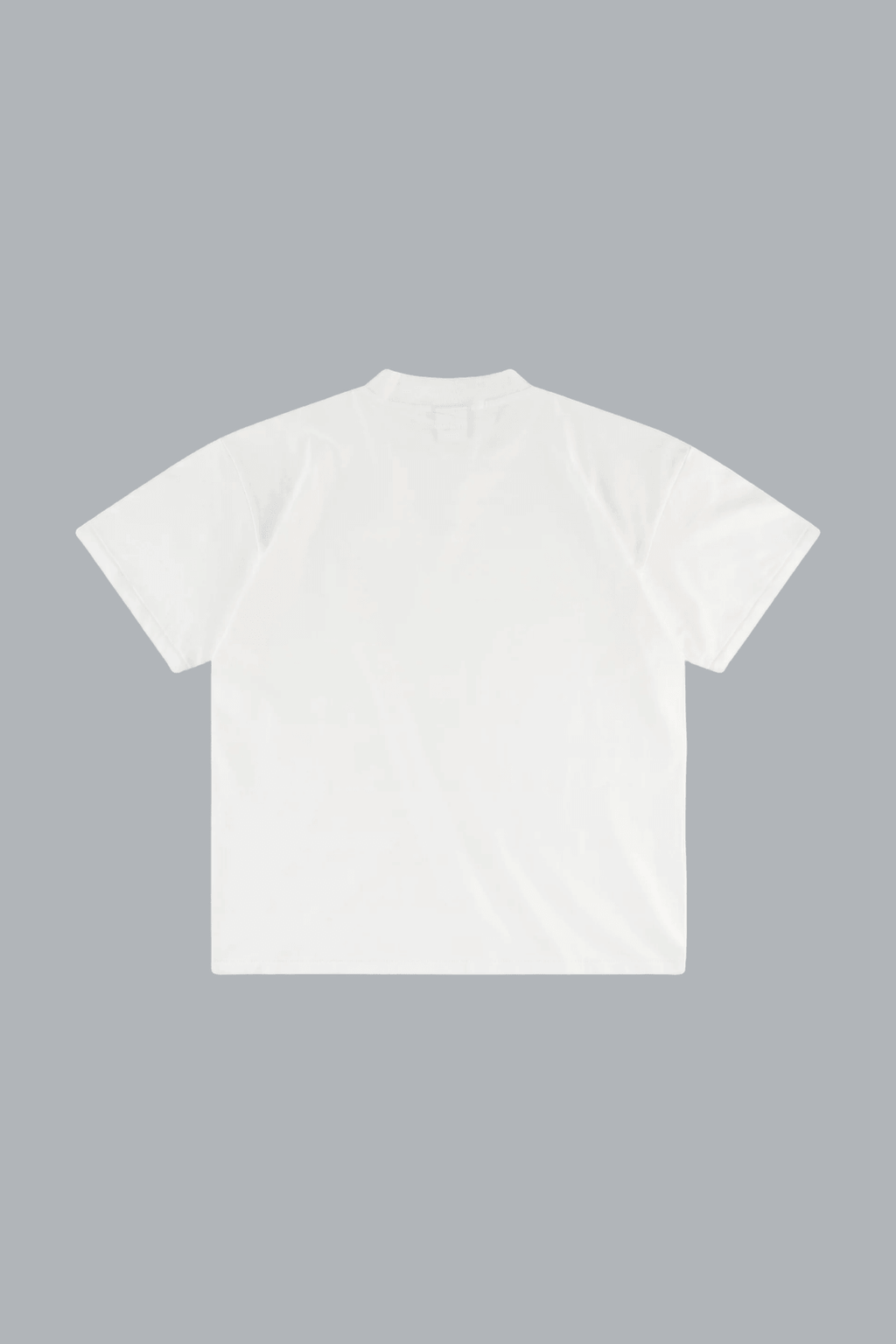 THE PEFECT VINTAGE T-SHIRT